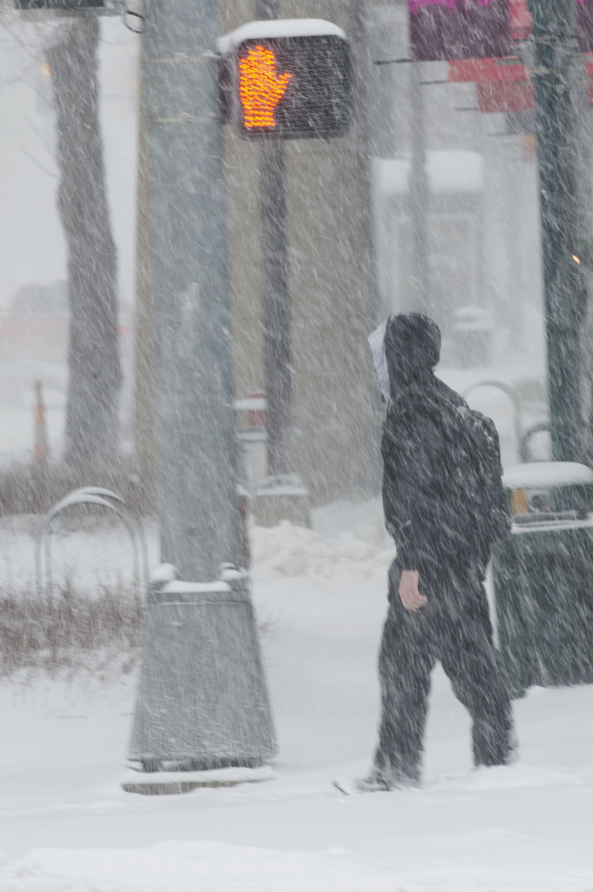 Winter Storm 1.25